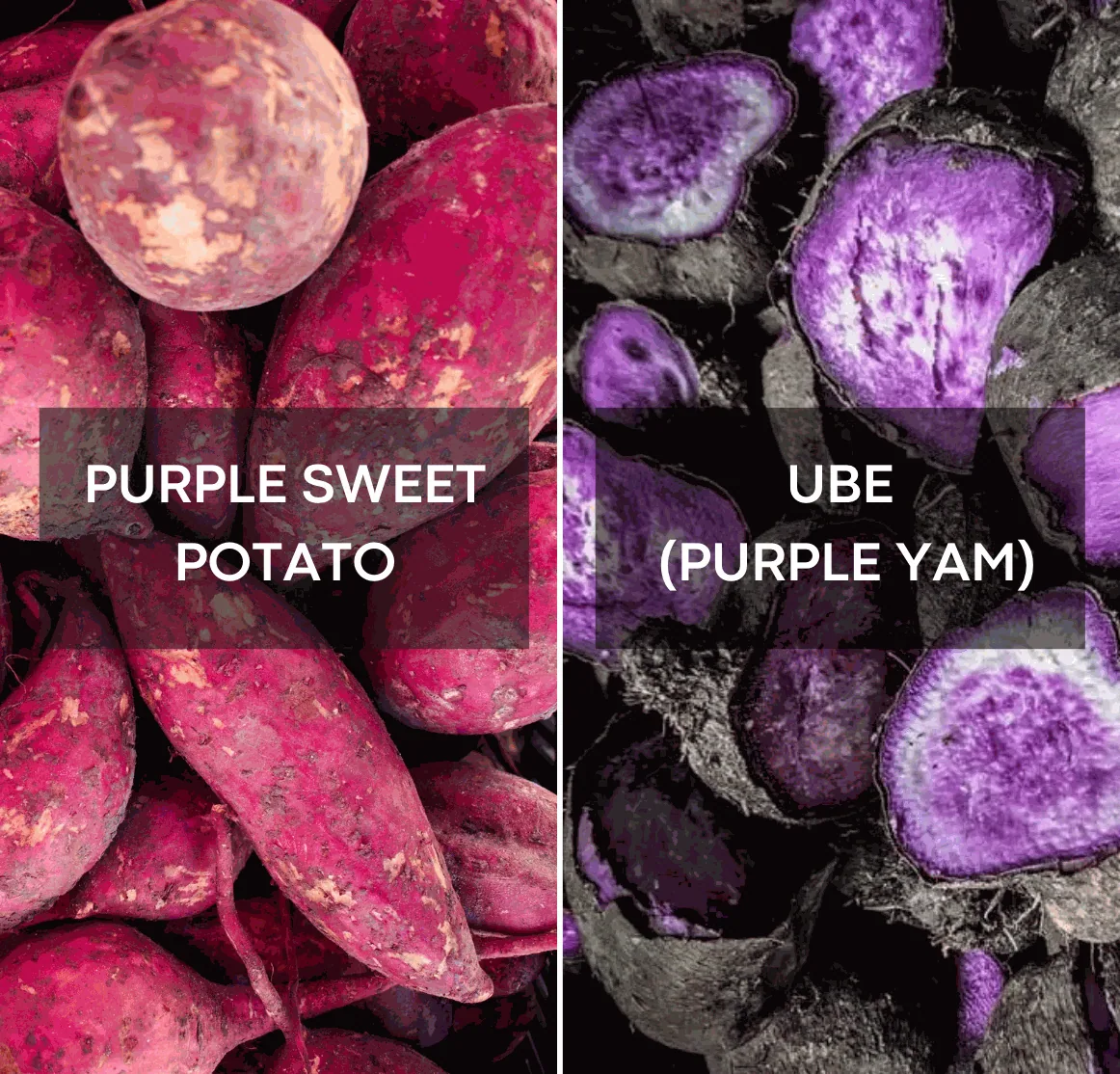 Ube vs Paarse Zoete Aardappel