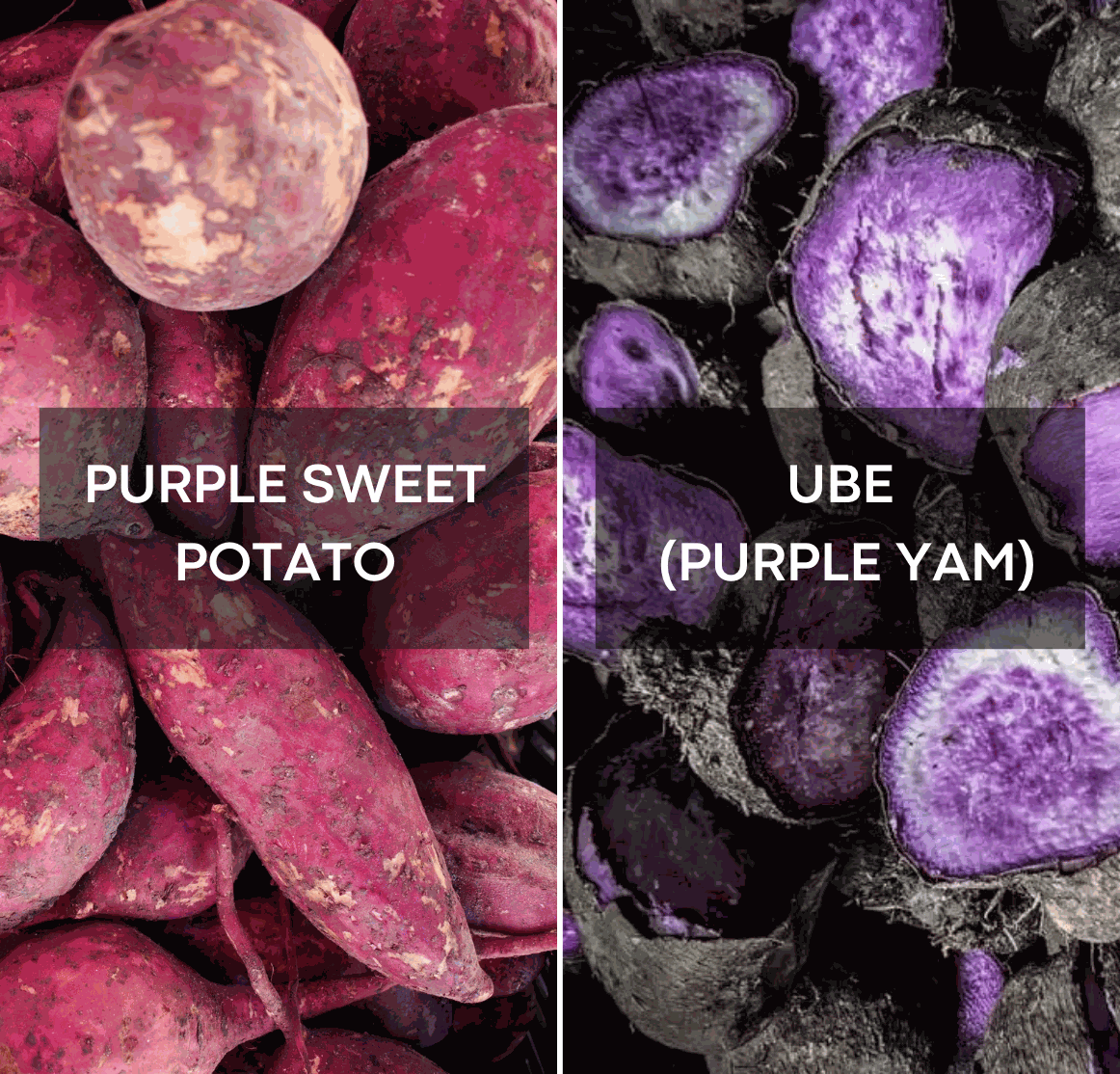 Ube vs Paarse Zoete Aardappel