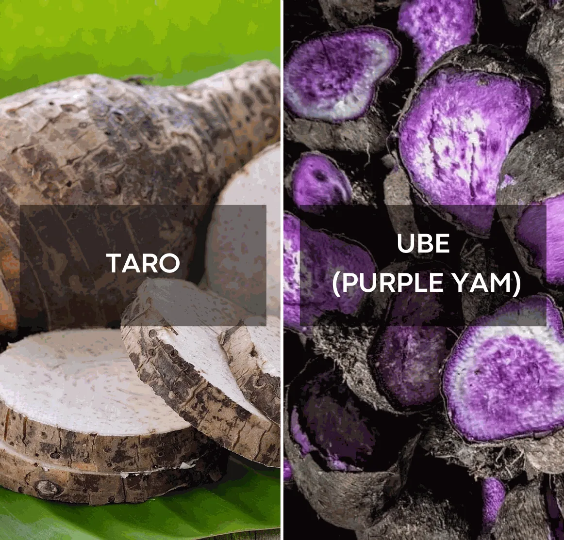 Ube vs Taro: Wat is het Echte Verschil?